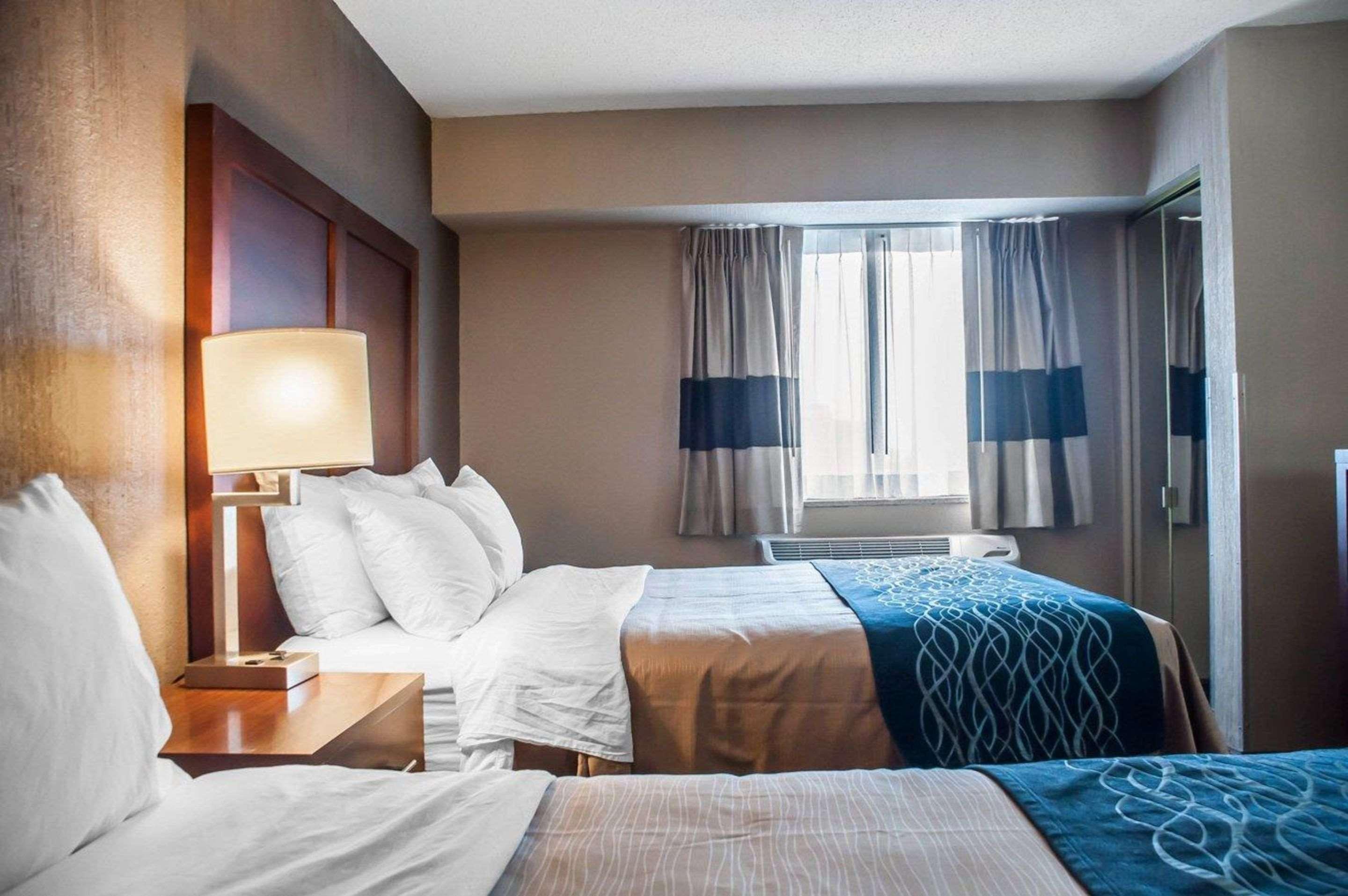 Comfort Inn University Амгерст Екстер'єр фото