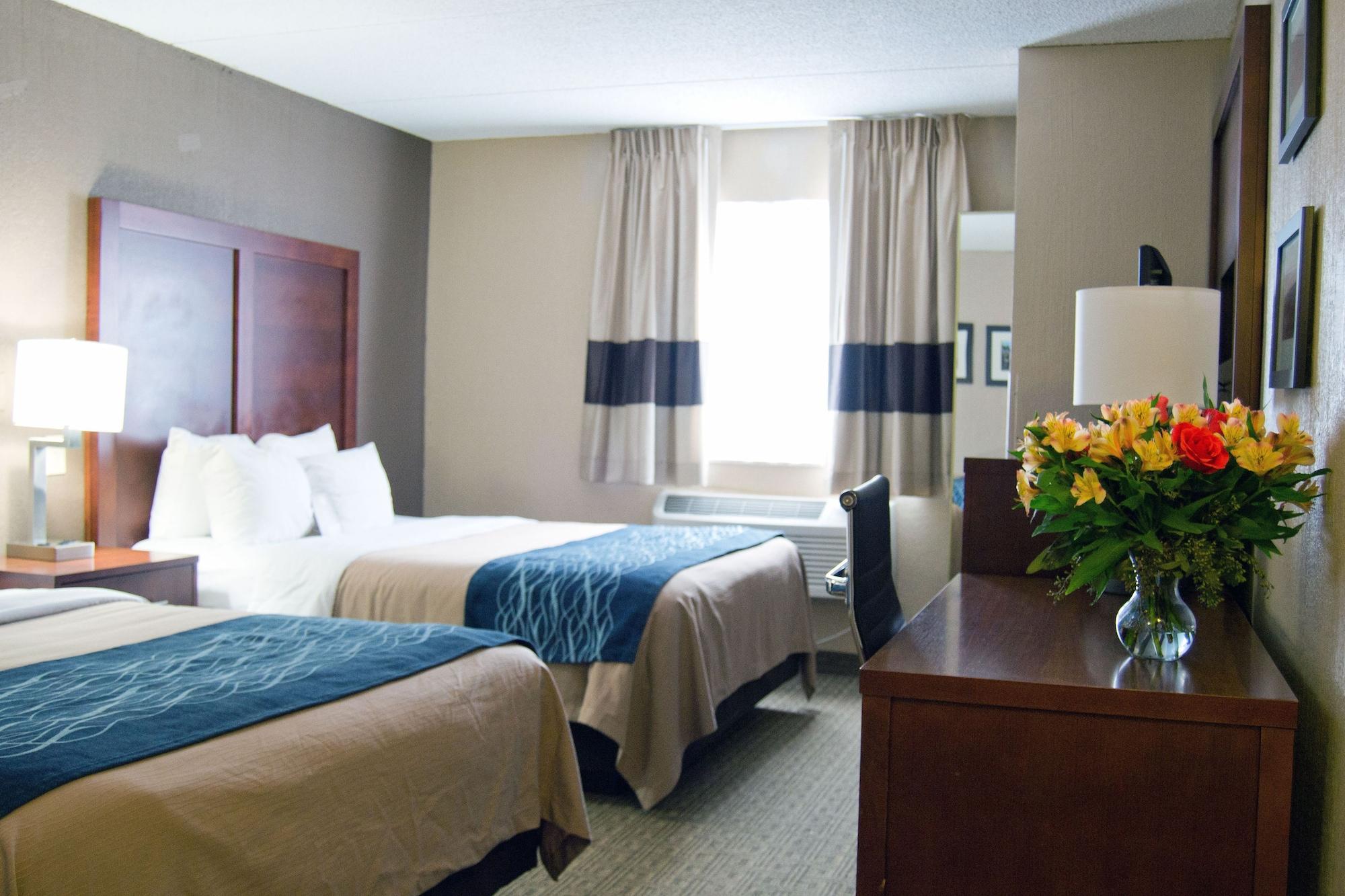 Comfort Inn University Амгерст Екстер'єр фото