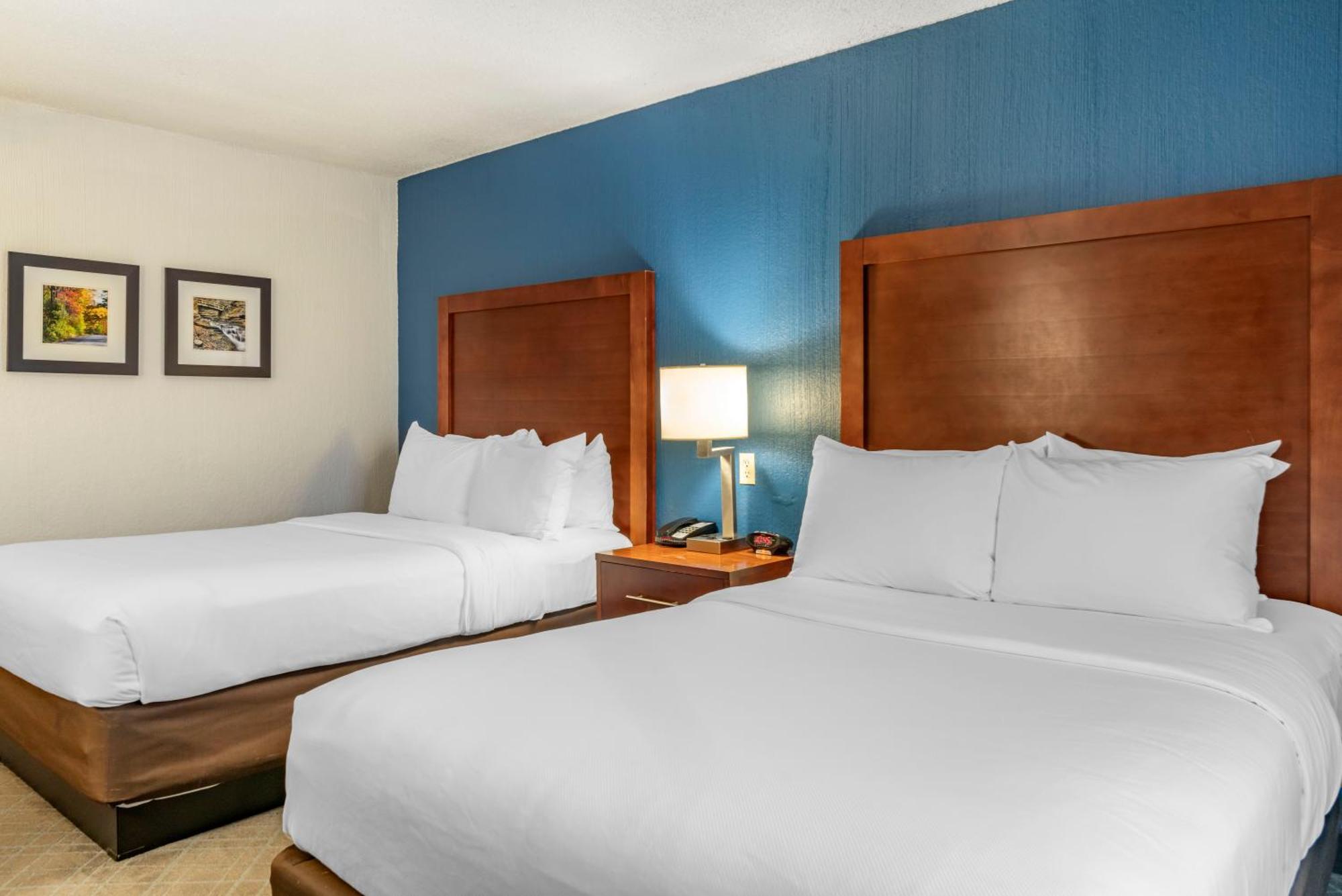 Comfort Inn University Амгерст Екстер'єр фото
